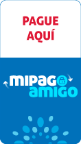 boton-pago